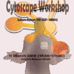 Cytoscap Worshop